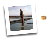 Cervia and Milano Marittima - Guides and Guided Tours in Emilia-Romagna - Cervia guides, itineraries cervia, salt, salt pans