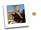 Argenta, Comacchio, Pomposa, Goro, Mesola - Guide e Visite Guidate - anguilla, Bosco della Mesola, Delta del Po, guide delta del po, itinerari delta del po, Nave Romana, Valli di Comacchio