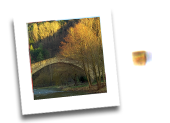 Guide, Visite, Visite guidate, Mosaico, mosaici, arte, Itinerari per le provincie di Ravenna, Ferrara, Forlì - Cesena, Rimini e Bologna, russi, bagnacavallo, lugo, faenza, brisighella, valle del senio, cervia, argenta, comacchio, pomposa, goro, mesola, valle del montone, valle del tramazzo e del rabbi, forlimpopoli, bertinoro, valle del savio e del rubicone, cesenatico, valconca, valmarecchia, san marino, Bologna e provincia, Ferrara e provincia, Forlì-Cesena e provincia, guide, itinerari, Ravenna e provincia, Rimini e provincia, Dante Alighieri, Ravenna Festival, Malatesta, Mosaico contemporaneo